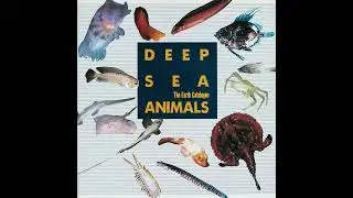 Spencer Clark - Deep Sea Animals OST (full album)