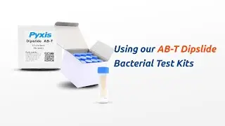 Using our AB-T Dipslide Bacterial Test Kit | Pyxis Lab®