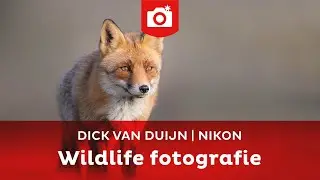 Wildlife fotografie met Dick van Duijn | Zoom.nl & Nikon