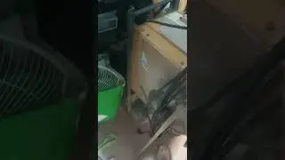 pilorams