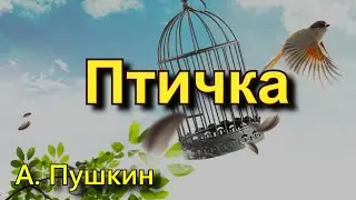 Пушкин А. С. "Птичка". Стихотворение