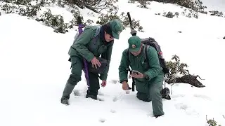 World Ranger Day celebrates sacrifices and contributions of rangers