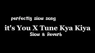 It's You X Tune kya kiya ( Perfectly Slowed ) #slowandreverb #lofimusic