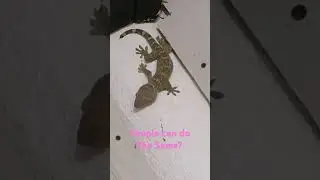 Someone Can do the Same