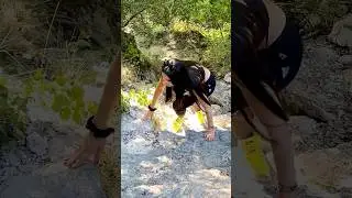 ДИКАЯ ПРИРОДА ИСПАНИИ 