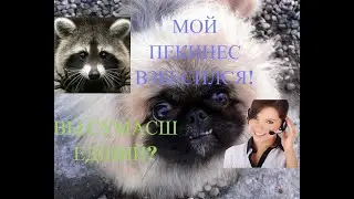 Рофл звонок ветеринару: пекинес взбесился!