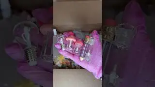 Someone in Canada ordered the biggest Lipgloss Kit 😱😭