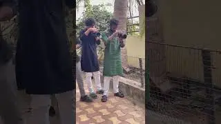 Small Short With Groom Making Shorts 