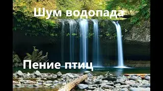 Шум Водопада и Пение Птиц\Звуки природы для сна\The Noise of the Waterfall and the Singing of Birds