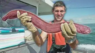 Monster EEL caught on my boat