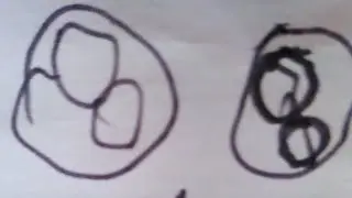 Много-много Новых Сквиши!