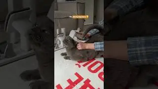 ✨ арт. OZON 1672397290 СКИДКА в описании