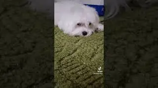 ПРЕСТУПЛЕНИЕ и Наказание)))