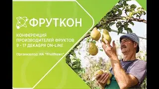 Будущее выращивания столового винограда в России. 16.12.2021
