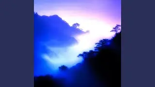 Night Brings Peace to the Mind