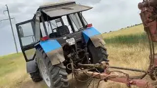 Обкос озимой пшеницы 2023
