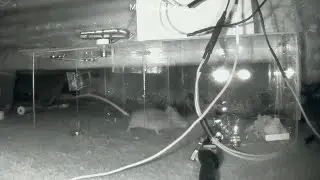 Ninja Mouse vs The MacPCZone Infra Red Mousetrap Next Generation