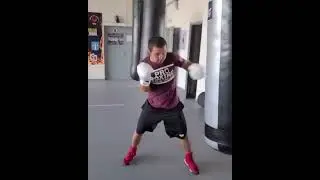 Боксерский мешок Prospect Boxing как поставить сильный удар