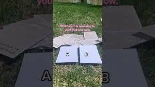 Which card speaks to you? Pick A or B - The Universe Will Reveal (#shorts)