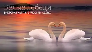 Белые лебеди ( кавер ) - Виктория Катт & Вячеслав Седых