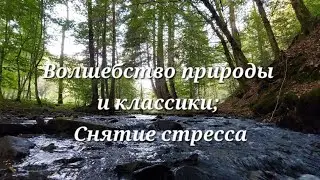 Расслабляющая музыка и звуки природы. Журчание лесного ручья для снятия стресса