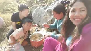 सिक्किम अास्सामलिन्जे गाउँमा हामी😀😀।।sikkim aassamlinje.longlasting enjoy🤗#sikkim #darjeeling