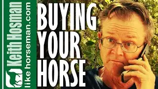 Buying Your (First) Horse: Tips from a Pro Horse Trainer