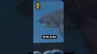 NEVER FIND THIS SHARK IN GTA 5 😨 