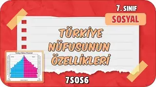 Türkiye Nüfusunun Özellikleri 📕 7. Sınıf Sosyal 