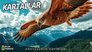 Bir Kartalın Yaşamı | Canlılar Dünyası | Kartal Belgeseli