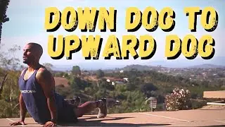 Movement Demo | Down Dog To Upward Dog
