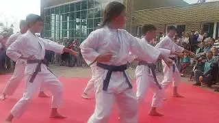 Традиционное карате-до. Дети, показательные выступления.