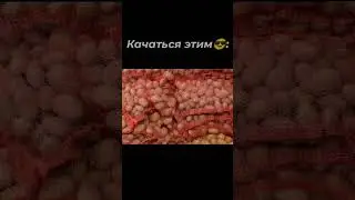 #мем #мемы #мемчик #мемчики #мемас #мемасик #мемасики #мемныймем #мемы_тикток #шортс #шортсы #фонк