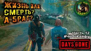 Days Gone (Жизнь после) Часть 12. Орда на лесопилке, Бухарь грустит, Рикки плавает и Чёрт Шизо =)