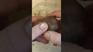Гарантированный улов карпа, сазана, карася, супер насадка для рыбалки на поплавок ☣ 
