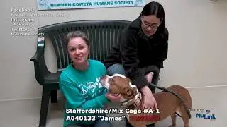 AdoptAPet 2020 0127
