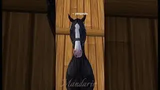 Мои зайчики❤️ люблю всех др единого🐰🍪#starstableonline #sso #starstable #лошади #horse #games