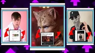The Best Of REDDIT MEMES #6