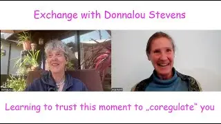 Learning to trust this moment - OPEN FOCUS - Exchange with Donnalou Stevens