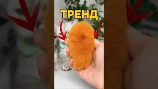 NEW WEIRD TREND 2025 🥭