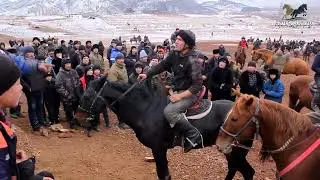 Улоки Дреш 2.01.2025 Полная версия Купкари Тожикистон Самандар Кенжаев