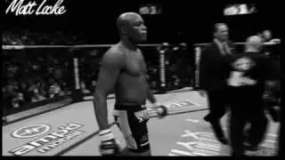 The Spider's Web ( Anderson Silva)