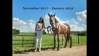 November 2017 - January 2019