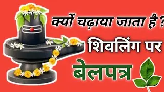भगवान शिव को बेलपत्र क्यों चढ़ाया जाता है | bhagwan shiv ko belpatra kyo chadhate hai | बेलपत्र |