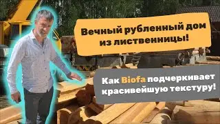 Дом который простоит 500 лет!