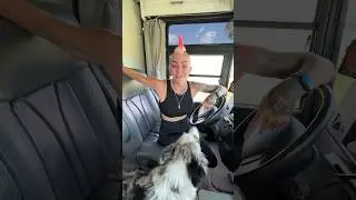 RV MUST HAVE! Don’t drive without it! 
