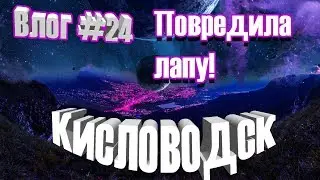Влог #24 Гера попала в ветклинику
