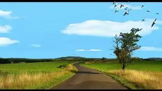 natural view video with animal sound