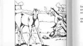 Latawnya, The Naughty Horse-A Dramatic Reading