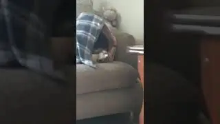 Кошка сдохла, а хвост уже был облезлым.